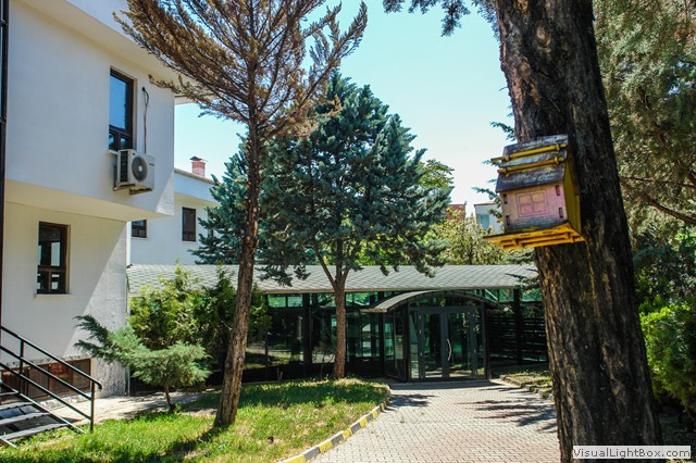 Kolejimizden Kareler