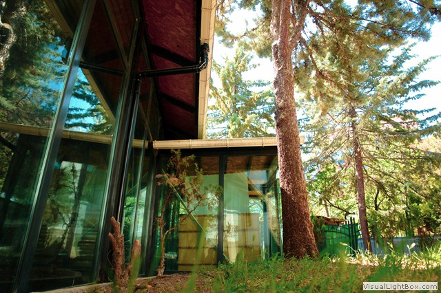 Kolejimizden Kareler